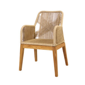 Tania TT Chair - Teakwood Synthetic