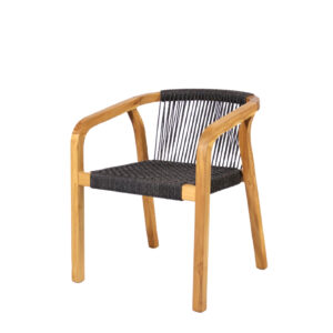 Nevada Chair - Teak Synthetic