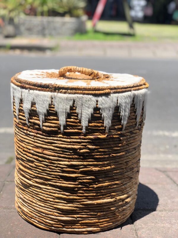 Basket Laundry With Top