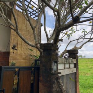 Bamboo Blind - Without Fabric