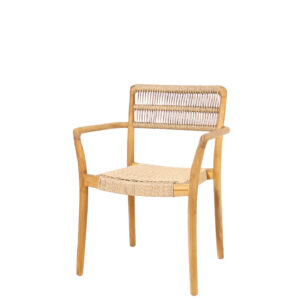 Mano Synthetic - Dining Chair