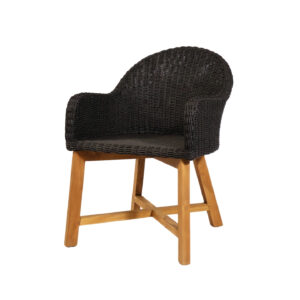 Irside Synthetic - Dining Chair