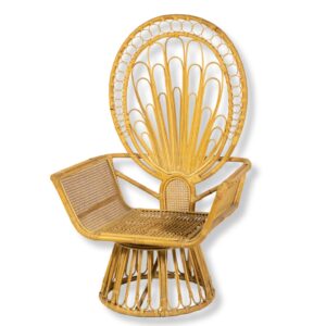 Peacock Tail - Relax Chair