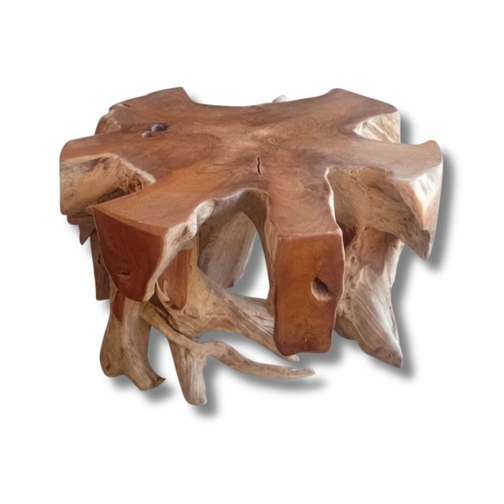 Teak Root Sculpture - Coffee Table